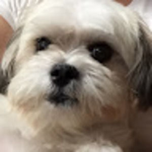 Meet your Posher, Konnie